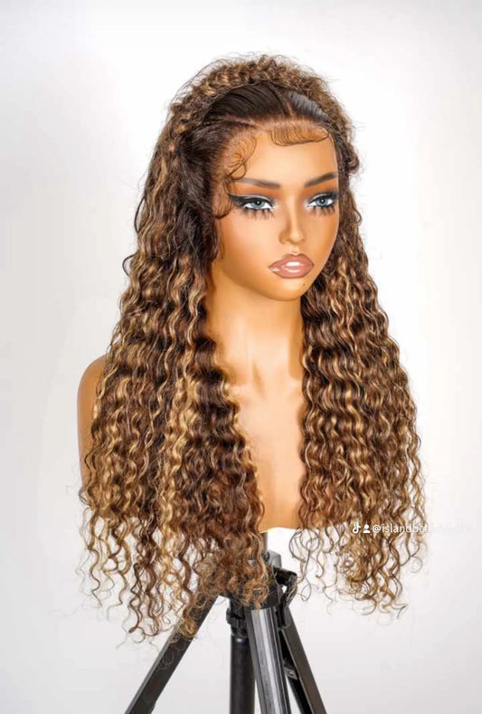 Ombre Highlight Braided Lace Front Wig