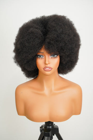 Afro kinky Lace Front Wig